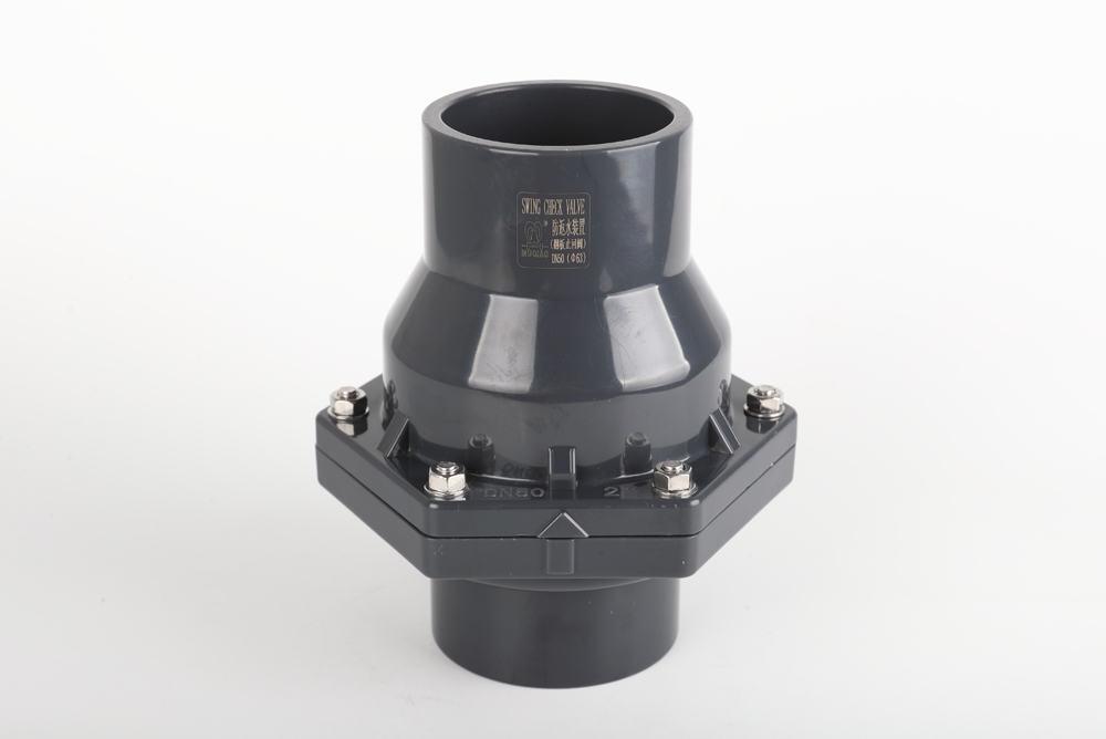 东升镇翻板式止回阀