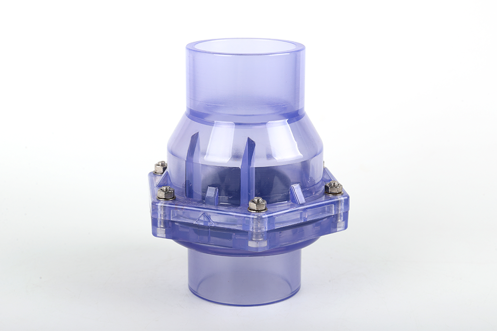 东升镇透明翻板式止回阀